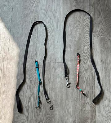 Honden riemen voor kleine hond beschikbaar voor biedingen