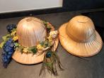 2 safari hoeden, Kleding | Dames, Carnavalskleding en Feestkleding, Ophalen of Verzenden, Zo goed als nieuw, Carnaval, Accessoires