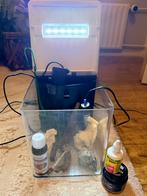 Aquarium home 8 met alle toebehoren, Dieren en Toebehoren, Vissen | Aquaria en Toebehoren, Ophalen, Zo goed als nieuw, Leeg aquarium