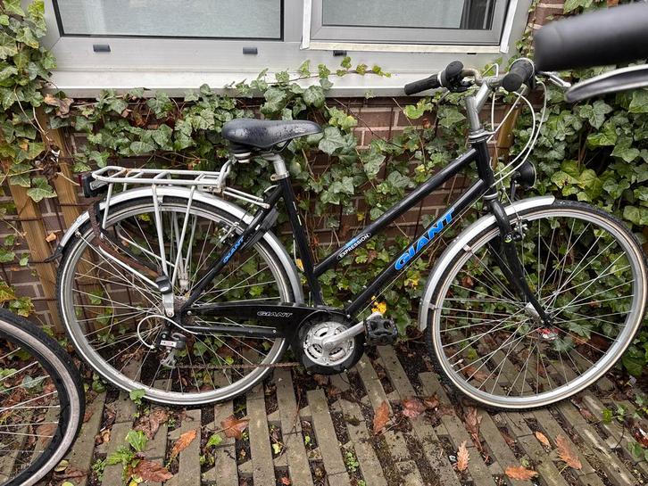 Giant Opknapper - Prima Project!, Fietsen en Brommers, Fietsen | Dames | Damesfietsen, Gebruikt, Giant, Versnellingen, 53 tot 56 cm