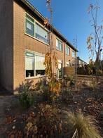 Prachtige Zuilboom sierkers met Roze Bloemen, Tuin en Terras, Planten | Bomen, Volle zon, Ophalen of Verzenden, Lente, 250 tot 400 cm