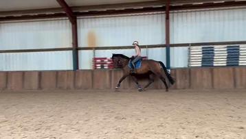 Super brave 4 jarige ruin van jayson  beschikbaar voor biedingen