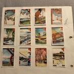 Collectie Japanse Prenten - Speldjes/Buttons, Ophalen of Verzenden, Gebruikt, Dier of Natuur, Speldje of Pin