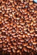 Gezocht: Eikels 30 cent per kg, Ophalen of Verzenden