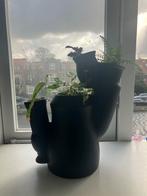 Strakke Zwarte Vaas - Montel - Zo Goed Als Nieuw!, Tuin en Terras, Bloempotten, Overige materialen, Binnen, Ophalen of Verzenden