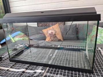 Aquarium 60 cm beschikbaar voor biedingen