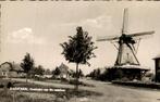 Dalfsen - de Molen, Verzamelen, Ansichtkaarten | Nederland, Ophalen of Verzenden, 1940 tot 1960, Ongelopen, Overijssel