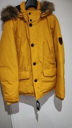 Tommy Hilfiger winter jas,Maat-XL Geel, Ophalen of Verzenden, Nieuw, Maat 56/58 (XL), Geel