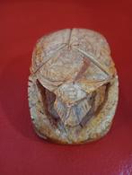 Scarabee, Ophalen of Verzenden