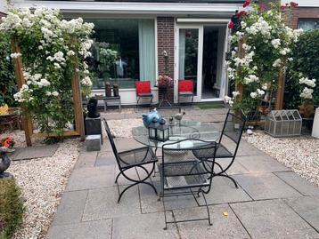 Tuinset compleet beschikbaar voor biedingen
