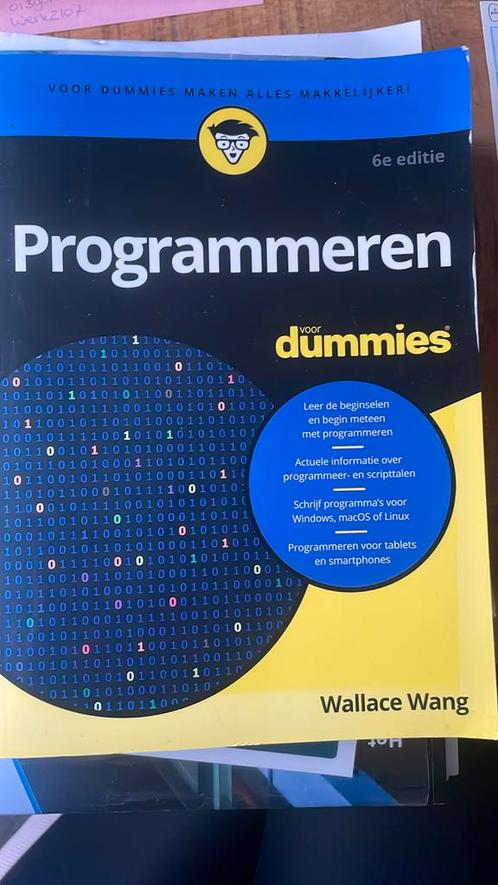 Wallace Wang - Programmeren voor Dummies, Boeken, Informatica en Computer, Zo goed als nieuw, Verzenden