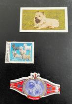 Cairn Terrier, sigarenbandje, postzegel, Tea card nr 19, Ophalen of Verzenden, Nieuw, Hond of Kat, Overige typen