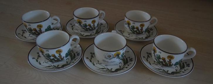 Villeroy & Boch - Tafelservies Botanica kop & schotels, Huis en Inrichting, Keuken | Servies, Nieuw, Kop(pen) en/of Schotel(s)