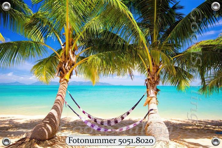 Tuinposter-Schuttingposter Hangmat tussen Palmbomen 105x70, Tuin en Terras, Tuinwanddecoratie, Nieuw, Verzenden