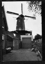 molen; Korenmolen De Zwaluw te Nieuwe Pekela., Verzamelen, Ansichtkaarten | Nederland, Verzenden, Ongelopen, Groningen