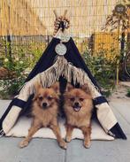 Tipi tent hond, Dieren en Toebehoren, Ophalen of Verzenden