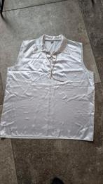 Carnaval hemd, top maat 56, Ophalen of Verzenden, Zo goed als nieuw, Maat 56/58 (XL), Carnaval