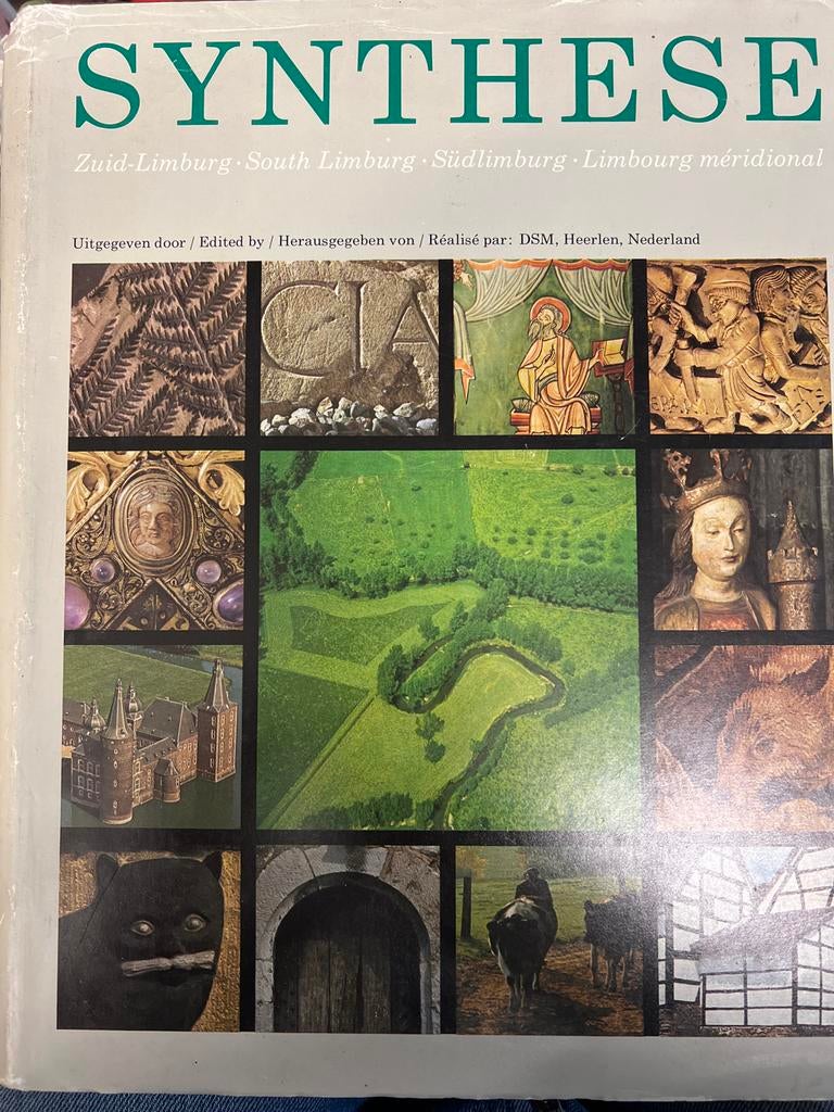 Synthese Zuid-Limburg Boek, Boeken, Ophalen of Verzenden, Gelezen, Limburg