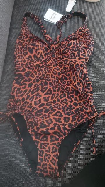 Nieuw PrimaDonna Badpak Swim Holiday Sunny Chocolate beschikbaar voor biedingen