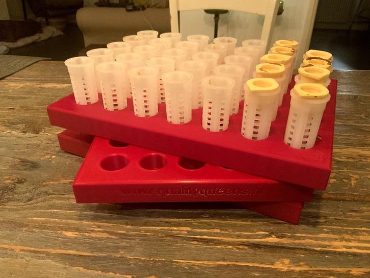 Nicot CNE4 koninginnenkooitjes trays, Dieren en Toebehoren, Insecten en Spinnen, Bijen