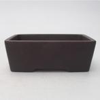 bonsaischaal 11x8x4cm, nieuw en ongebruikt, Ophalen of Verzenden, Volle zon, Overige soorten, Minder dan 100 cm