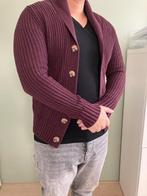 Bordeaux dik vest, heren, vest, maat M, Ophalen of Verzenden, Zo goed als nieuw, Maat 48/50 (M), Overige kleuren
