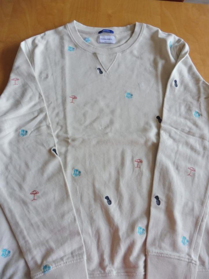 Lichte herensweater met geborduurde motiefjes maat XXL, Kleding | Heren, Truien en Vesten, Zo goed als nieuw, Overige maten, Overige kleuren