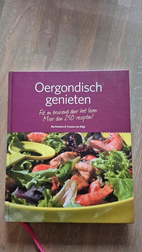Ria Penders - Oergondisch genieten, Boeken, Kookboeken, Zo goed als nieuw, Ophalen of Verzenden