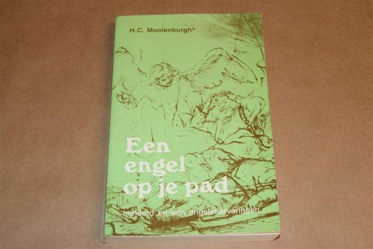 Een Engel op Je Pad — 101 Ervaringen, Boeken, Esoterie en Spiritualiteit, Gelezen, Achtergrond en Informatie, Overige onderwerpen