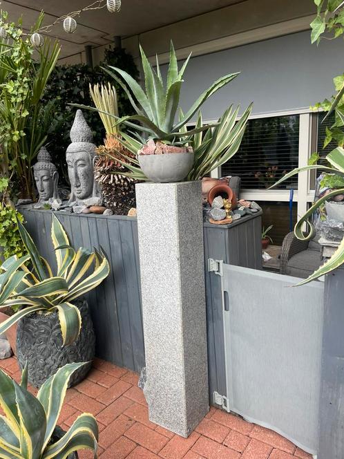 Mooie donkergroene agave in sierpot ( met of zonder pilaar), Tuin en Terras, Planten | Tuinplanten, Overige soorten, Volle zon