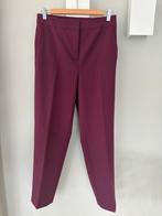 JC Sophie paarse pantalon maat S, Kleding | Dames, Paars, Ophalen of Verzenden, Zo goed als nieuw, Maat 36 (S)