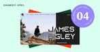 WordPress Developer & Web Designer - wordpress hulp, Ophalen of Verzenden, Nieuw, Internet of Webdesign