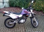 motoren yamaha, Particulier, Toermotor, 600 cc