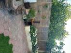 Leuke zeshoekige terrastegel, Ophalen, Overige materialen, Gebruikt, 5 tot 10 m²