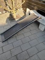 Honden loop burg, Ophalen