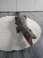 Kaaiman opgezet - Decoratief en uniek, Dieren en Toebehoren, Ophalen of Verzenden, Gebruikt