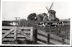 (NH114) Ansichtkaart Dirkshorn molen polder Koetenburg 1930, Verzenden, 1960 tot 1980, Ongelopen, Noord-Holland