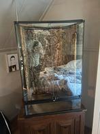 Exo Terra Terrarium Medium/X-Tall 60 x 45 x 90cm, Dieren en Toebehoren, Ophalen, Zo goed als nieuw, Terrarium of Paludarium