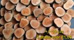 Houten schijven, Ophalen, Minder dan 25 mm, Eiken, Nieuw