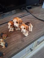 Vintage Beagle Honden Beeldjes, Ophalen of Verzenden