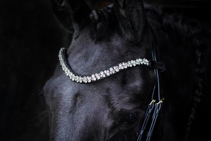 L'Anique Click&Go Frontriem Mirage, Dieren en Toebehoren, Paarden en Pony's | Hoofdstellen en Tuigage, Nieuw, Dressuur, Ophalen of Verzenden