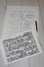 2 prachtige platen uit Bunyan Bunjan bijbel Christenreize, Antiek en Kunst, Antiek | Boeken en Bijbels, Verzenden