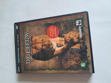 Dvd de leeuw met another hopkins  beschikbaar voor biedingen