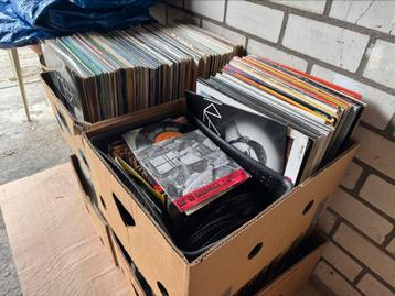 Grote verzameling LP’s – 200 stuks – beschikbaar voor biedingen