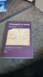 Pedagogiek in beeld, Boeken, Ophalen of Verzenden, Zo goed als nieuw, Sociale wetenschap