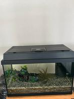 60 aquarium, Ophalen, Gebruikt, Leeg aquarium