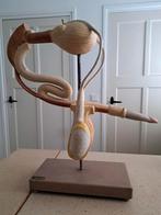 Anatomisch model voortplantingsorgaan stier L. Meusel, Antiek en Kunst, Curiosa en Brocante, Ophalen