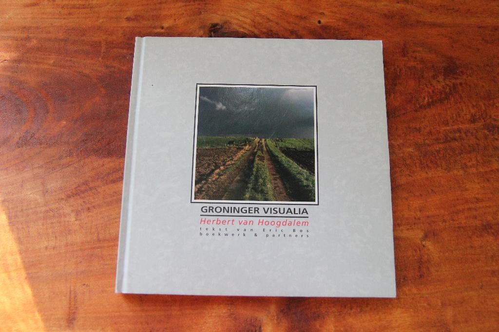 Groninger Visualia, Ophalen of Verzenden, Gelezen