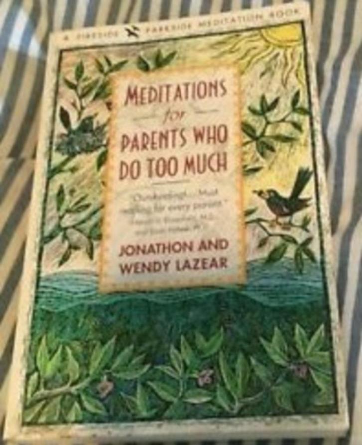 Meditations for Parents Who Do Too Much - Jonathon Lazear, Boeken, Zwangerschap en Opvoeding, Zo goed als nieuw, Opvoeding tot 6 jaar