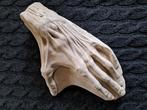 Anatomisch model gevilde hand gips, Antiek en Kunst, Curiosa en Brocante, Ophalen of Verzenden